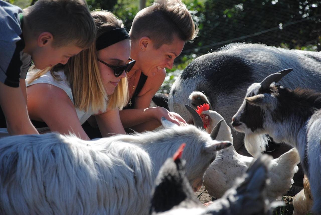 Delny Glamping And Farm Animals Ξενοδοχείο Invergordon Εξωτερικό φωτογραφία